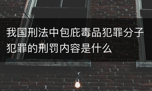 我国刑法中包庇毒品犯罪分子犯罪的刑罚内容是什么