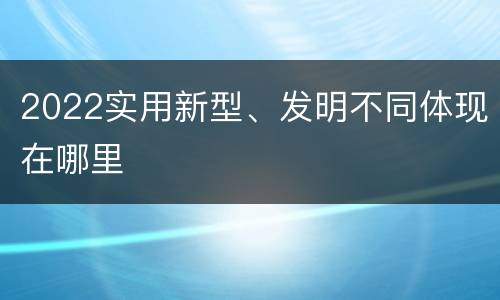 2022实用新型、发明不同体现在哪里