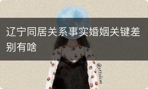 辽宁同居关系事实婚姻关键差别有啥