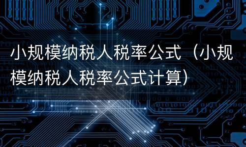 小规模纳税人税率公式（小规模纳税人税率公式计算）
