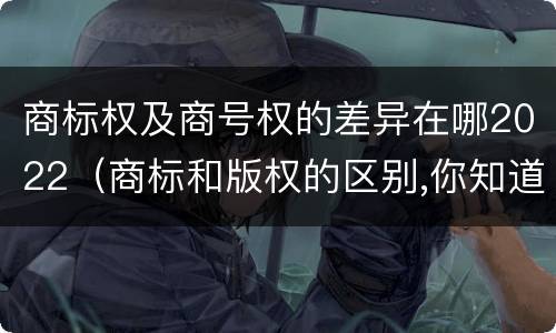商标权及商号权的差异在哪2022（商标和版权的区别,你知道多少?）