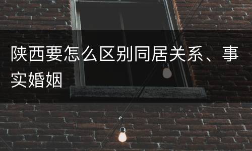 陕西要怎么区别同居关系、事实婚姻