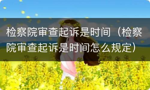 检察院审查起诉是时间（检察院审查起诉是时间怎么规定）