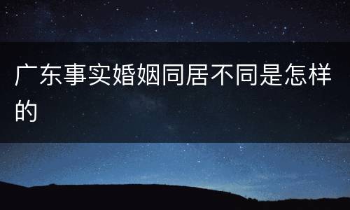广东事实婚姻同居不同是怎样的