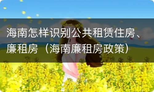海南怎样识别公共租赁住房、廉租房（海南廉租房政策）