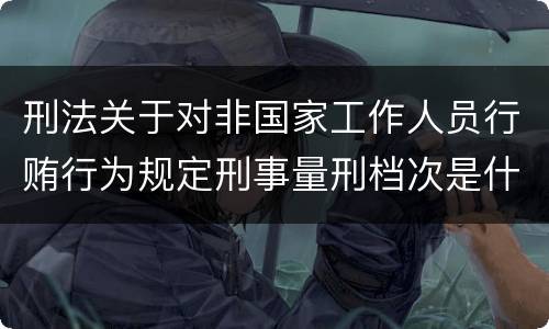 刑法关于对非国家工作人员行贿行为规定刑事量刑档次是什么