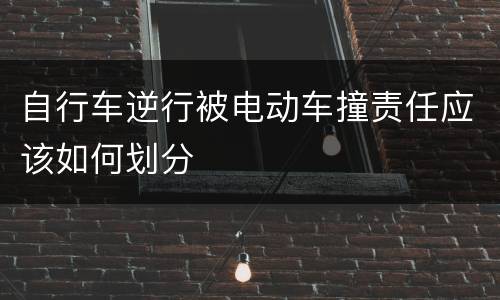 自行车逆行被电动车撞责任应该如何划分