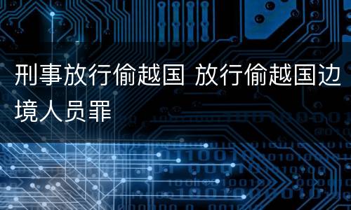 刑事放行偷越国 放行偷越国边境人员罪