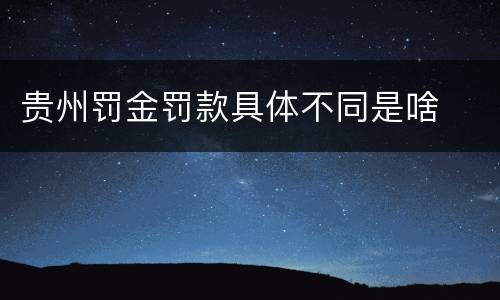 贵州罚金罚款具体不同是啥