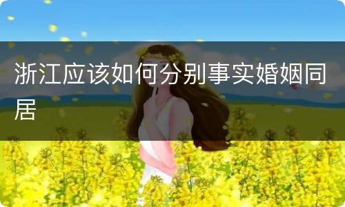 浙江应该如何分别事实婚姻同居