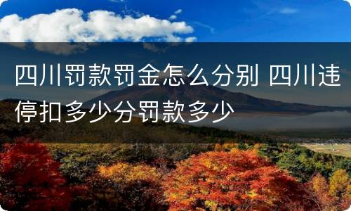 四川罚款罚金怎么分别 四川违停扣多少分罚款多少