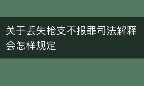 关于丢失枪支不报罪司法解释会怎样规定