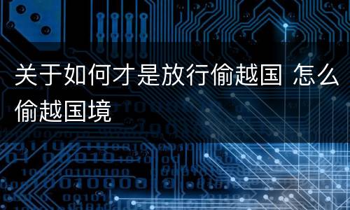 关于如何才是放行偷越国 怎么偷越国境