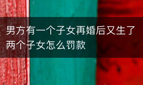 男方有一个子女再婚后又生了两个子女怎么罚款