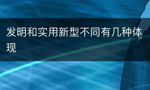 发明和实用新型不同有几种体现