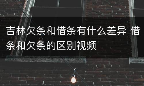 吉林欠条和借条有什么差异 借条和欠条的区别视频