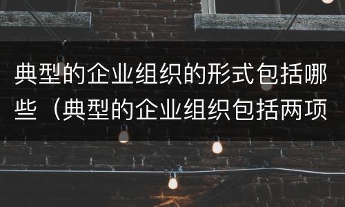 典型的企业组织的形式包括哪些（典型的企业组织包括两项基本职能）
