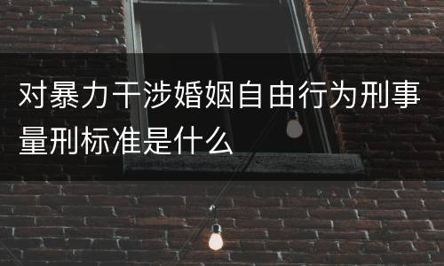 对暴力干涉婚姻自由行为刑事量刑标准是什么