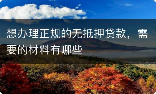 想办理正规的无抵押贷款，需要的材料有哪些