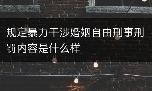 规定暴力干涉婚姻自由刑事刑罚内容是什么样