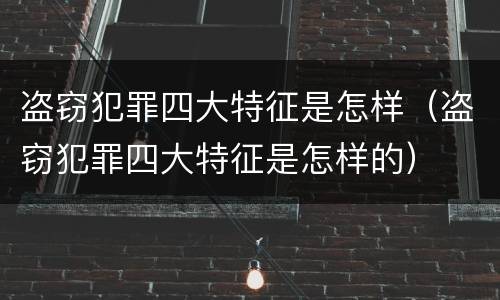 盗窃犯罪四大特征是怎样（盗窃犯罪四大特征是怎样的）