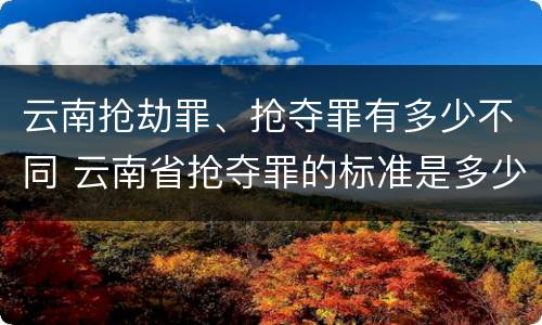 云南抢劫罪、抢夺罪有多少不同 云南省抢夺罪的标准是多少?