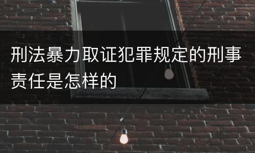 刑法暴力取证犯罪规定的刑事责任是怎样的