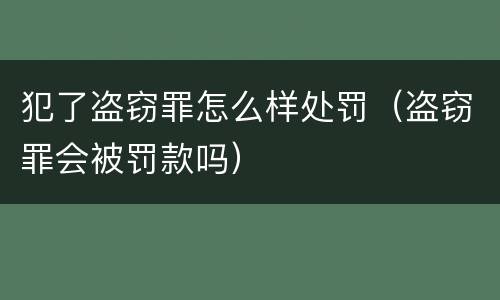 犯了盗窃罪怎么样处罚（盗窃罪会被罚款吗）