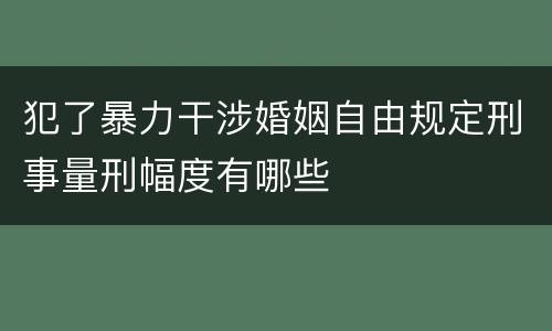 犯了暴力干涉婚姻自由规定刑事量刑幅度有哪些