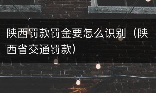 陕西罚款罚金要怎么识别（陕西省交通罚款）