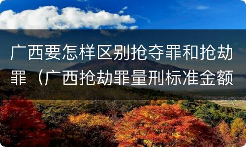 广西要怎样区别抢夺罪和抢劫罪（广西抢劫罪量刑标准金额）