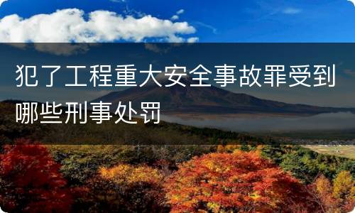 犯了工程重大安全事故罪受到哪些刑事处罚