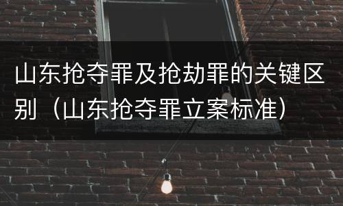 山东抢夺罪及抢劫罪的关键区别（山东抢夺罪立案标准）