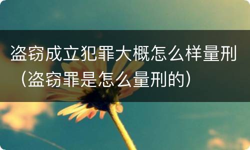 盗窃成立犯罪大概怎么样量刑（盗窃罪是怎么量刑的）