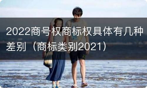 2022商号权商标权具体有几种差别（商标类别2021）