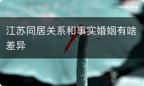 江苏同居关系和事实婚姻有啥差异
