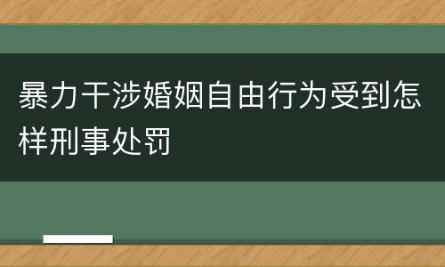 暴力干涉婚姻自由行为受到怎样刑事处罚