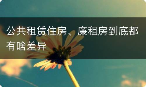 公共租赁住房、廉租房到底都有啥差异