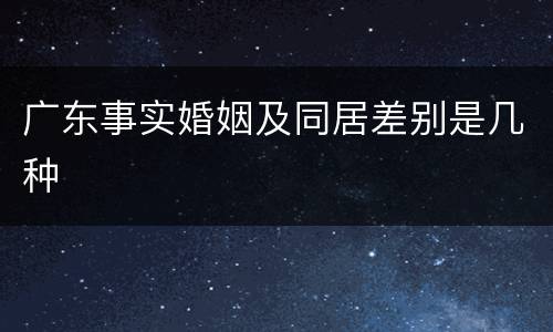 广东事实婚姻及同居差别是几种