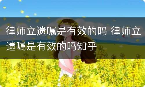 律师立遗嘱是有效的吗 律师立遗嘱是有效的吗知乎