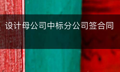 设计母公司中标分公司签合同