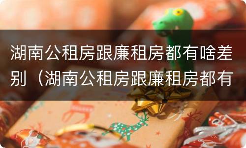 湖南公租房跟廉租房都有啥差别（湖南公租房跟廉租房都有啥差别吗）
