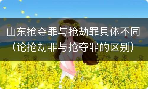 山东抢夺罪与抢劫罪具体不同（论抢劫罪与抢夺罪的区别）