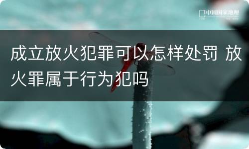 成立放火犯罪可以怎样处罚 放火罪属于行为犯吗