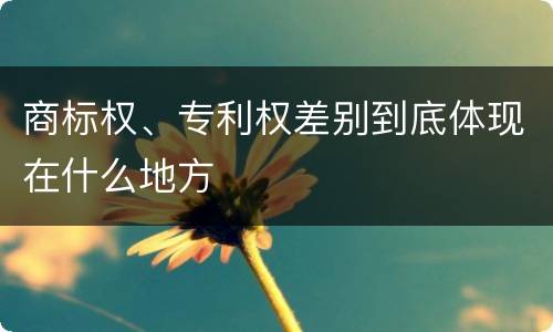 商标权、专利权差别到底体现在什么地方