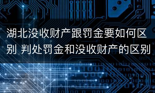 湖北没收财产跟罚金要如何区别 判处罚金和没收财产的区别