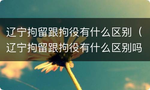 辽宁拘留跟拘役有什么区别（辽宁拘留跟拘役有什么区别吗）