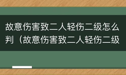 故意伤害致二人轻伤二级怎么判（故意伤害致二人轻伤二级怎么判）