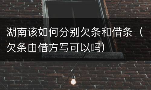 湖南该如何分别欠条和借条（欠条由借方写可以吗）