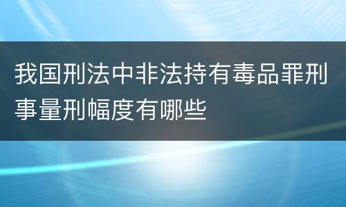 我国刑法中非法持有毒品罪刑事量刑幅度有哪些